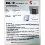 Load image into Gallery viewer, Ceylonese Gomed-(1100)
