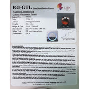 Ceylonese Gomed-(2100)