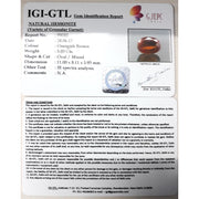 Ceylonese Gomed-(1100)