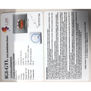 Ceylonese Gomed-(1100)