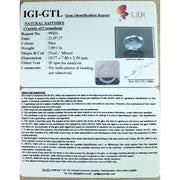2.89/CT Natural Blue Sapphire with Govt Lab Certificate-BLUSA9U