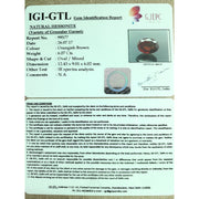 Ceylonese Gomed-(1100)