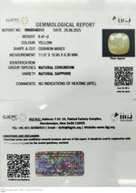 Load image into Gallery viewer, 8.47/CT Natural Yellow Sapphire With Govt Lab Certificate (4551)
