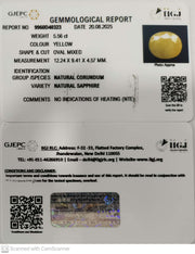 5.56/CT Natural Yellow Sapphire With Govt Lab Certificate (1221)
