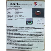 Ceylonese Gomed-(1221)