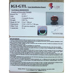 Load image into Gallery viewer, Ceylonese Gomed-(1100)
