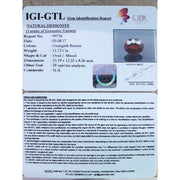 Ceylonese Gomed-(1100)