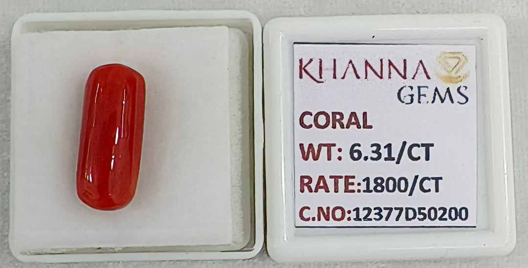 6.31/CT Natural Red Coral With Govt. Lab Certificate-12377D50200
