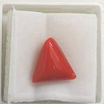 Load image into Gallery viewer, 5.32/CT Natural Red Coral With Govt. Lab Certificate
