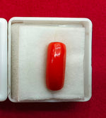 Load image into Gallery viewer, 6.44/CT Natural Red Coral With Govt. Lab Certificate
