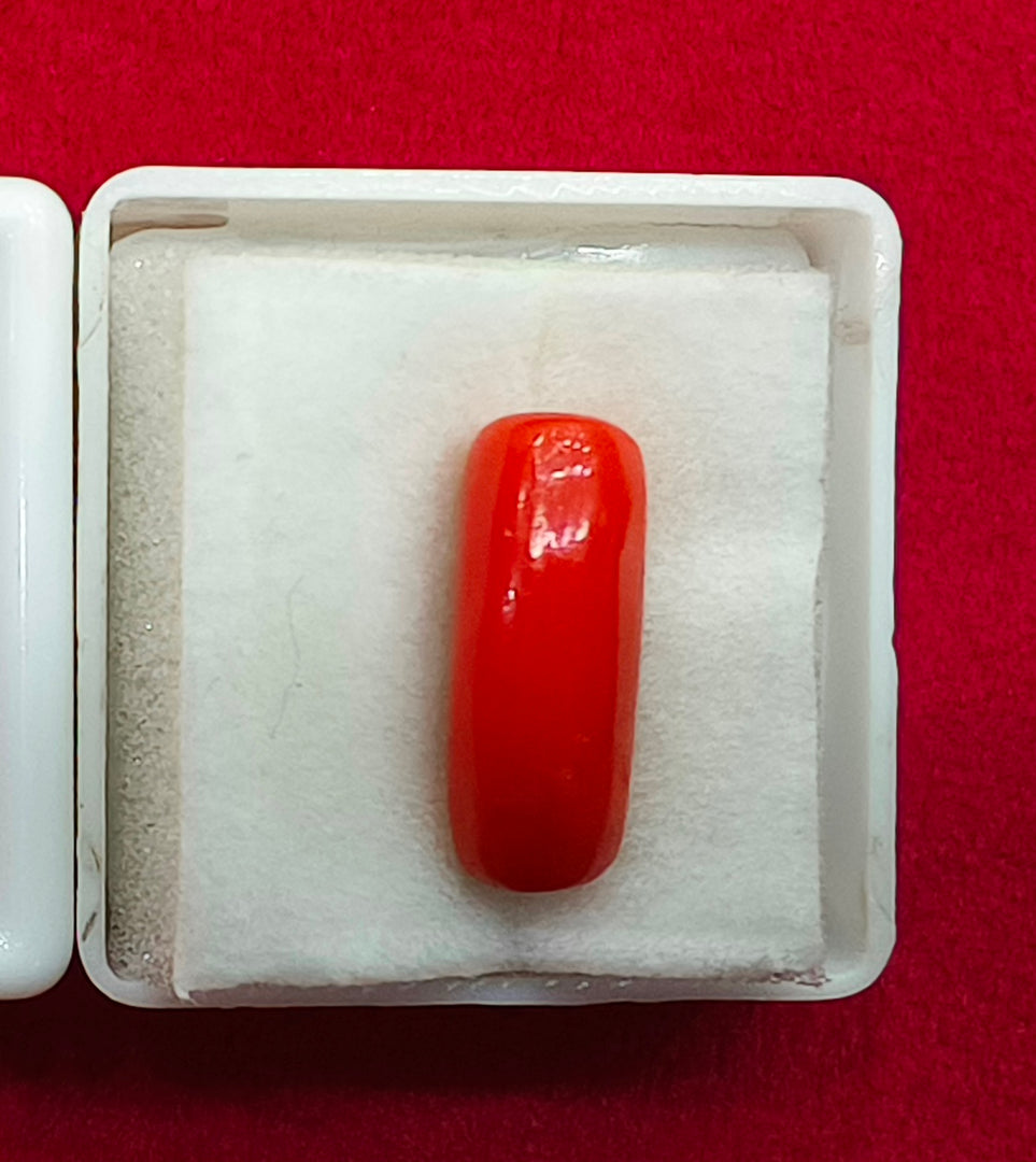 6.44/CT Natural Red Coral With Govt. Lab Certificate