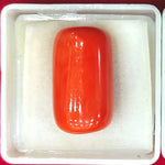 Load image into Gallery viewer, 20.17/CT Natural Red Coral With Govt. Lab Certificate
