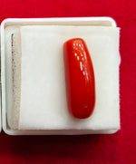 Load image into Gallery viewer, 7.03/CT Natural Red Coral With Govt. Lab Certificate
