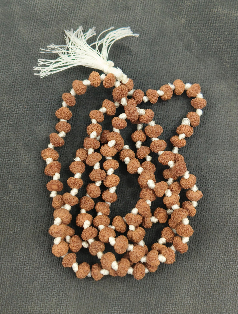EIGHT MUKHI RUDRAKSHA MALA - KG01