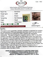 Load image into Gallery viewer, 3.640 Gram Natural Garbh Gauri  Rudraksha with Govt. Lab Certificate-KG61513