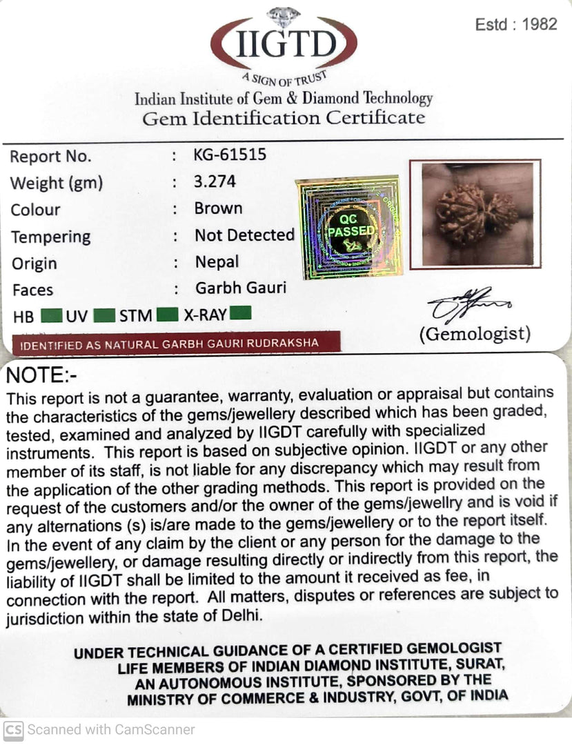 3.270 Gram Natural Garbh Gauri  Rudraksha with Govt. Lab Certificate-KG61515
