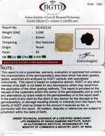 Load image into Gallery viewer, 3.040 Gram Natural Three Mukhi Rudraksha with Govt. Lab Certificate-KG615110