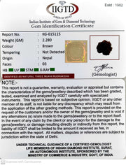 2.280 Gram Natural Three Mukhi Rudraksha with Govt. Lab Certificate-KG615115