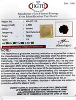 Load image into Gallery viewer, 2.580 Gram Natural Three Mukhi Rudraksha with Govt. Lab Certificate-KG615116
