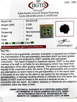 Load image into Gallery viewer, 3.290 Gram Natural Three Mukhi Rudraksha with Govt. Lab Certificate-KG615118