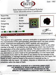 3.290 Gram Natural Three Mukhi Rudraksha with Govt. Lab Certificate-KG615118