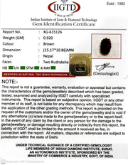 0.920 Gram Natural Two Mukhi Rudraksha with Govt. Lab Certificate-KG615126