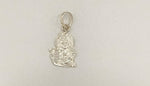 Load image into Gallery viewer, 3.00/GM KRISHNA SILVER PENDANT   (400)