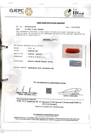 7.03/CT Natural Red Coral With Govt. Lab Certificate