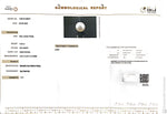Load image into Gallery viewer, 4.26/CT Natural South Sea Pearl Beads With Lab Certificate (1550)
