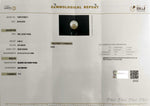 Load image into Gallery viewer, 3.99/CT Natural South Sea Pearl Beads With Lab Certificate (1550)
