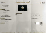 3.99/CT Natural South Sea Pearl Beads With Lab Certificate (1550)