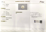 Load image into Gallery viewer, 7.70/CT Natural South Sea Pearl With Lab Certificate-15808S204901