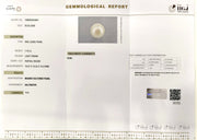 7.70/CT Natural South Sea Pearl With Lab Certificate-15808S204901