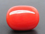 Load image into Gallery viewer, 7.87/CT Natural Red Coral With Govt. Lab Certificate-10952D44238