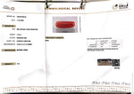 Load image into Gallery viewer, 7.45/CT Natural Red Coral With Govt. Lab Certificate

