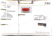 8.13/CT Natural Red Coral With Govt. Lab Certificate