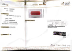 Load image into Gallery viewer, 7.23/CT Natural Red Coral With Govt. Lab Certificate
