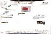 7.08/CT Natural Red Coral With Govt. Lab Certificate