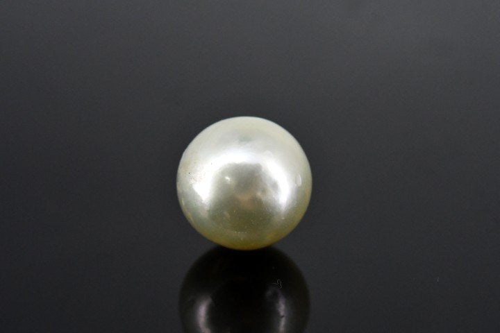 7.95/CT Natural South Sea Pearl With Lab Certificate (1550)