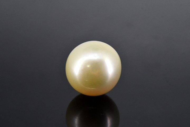 22.1/CT Natural South Sea Pearl With Lab Certificate (1550)