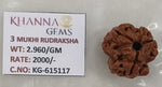 Load image into Gallery viewer, 2.960 Gram Natural Three Mukhi Rudraksha with Govt. Lab Certificate-KG615117