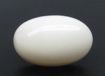 Load image into Gallery viewer, 8.22/CT White Coral with Govt. Lab Certified (1500)