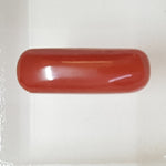 Load image into Gallery viewer, Natural Italian Moonga
