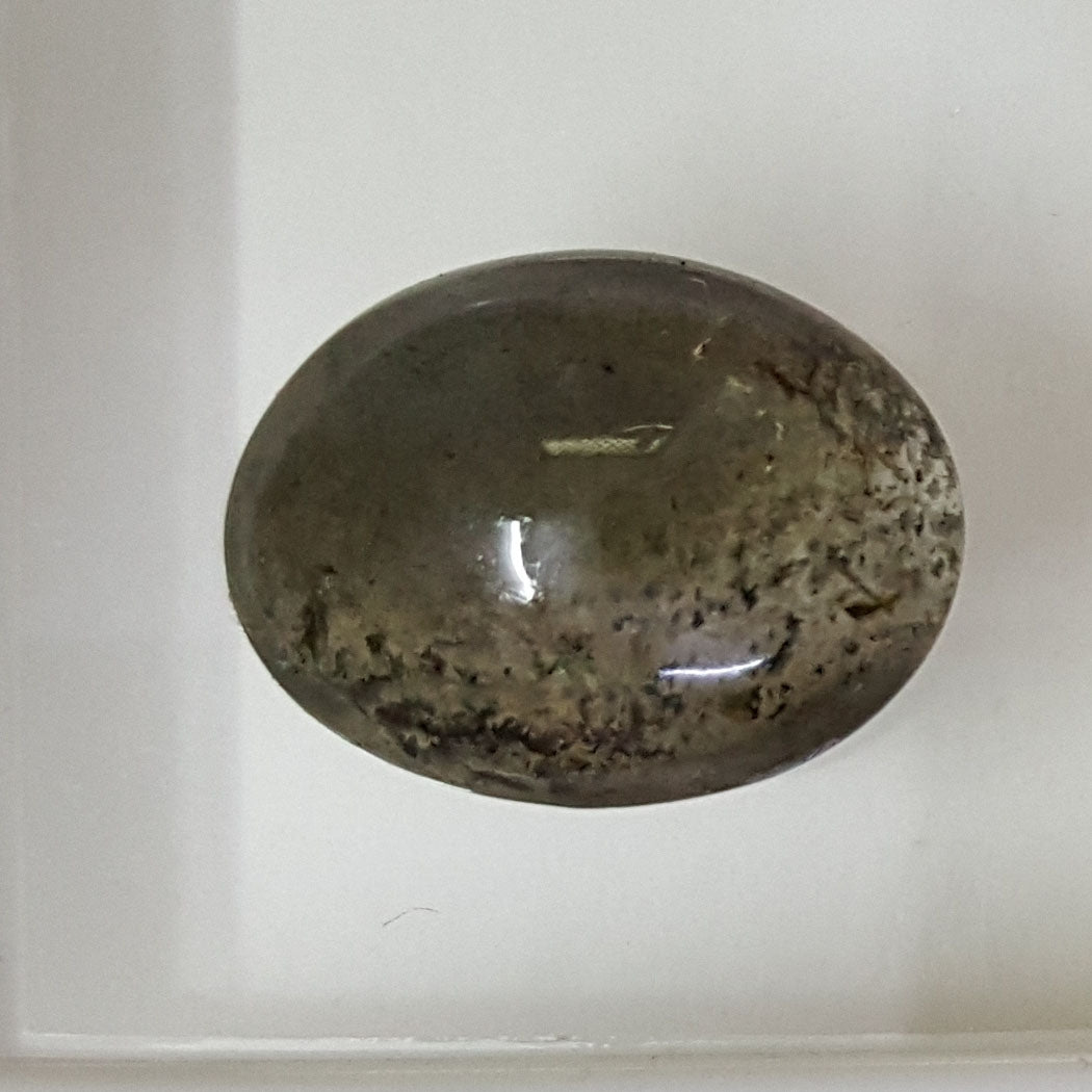 8.01 Ratti Natural Scapolite Cat's Eye with Govt. Lab Certified-(1221)