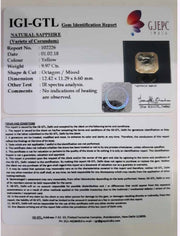 9.97/CT Natural Ceylonese Pukhraj with Govt Lab Certificate-YELSA9S