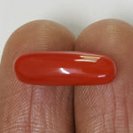 Load image into Gallery viewer, Natural italian Oval Moonga
