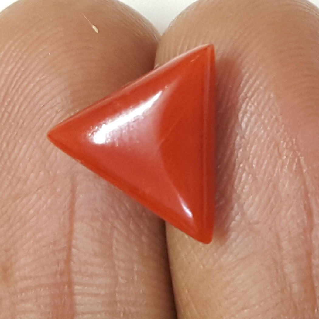 3.83 Ratti Italian Red Coral-(1054)