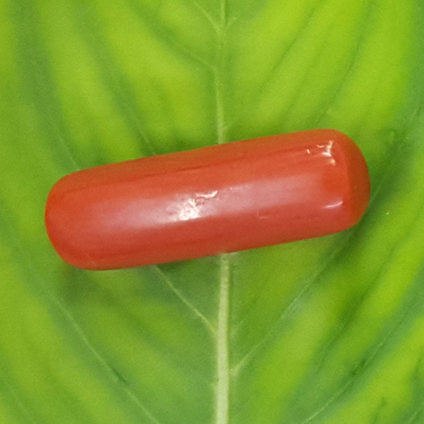Natural Italian Moonga