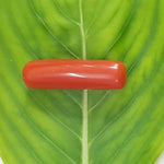 Load image into Gallery viewer, Natural Italian Moonga
