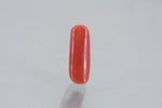 Load image into Gallery viewer, 8.11/Carat Natural Cylindrical Red Coral (1800)
